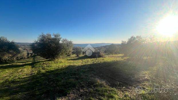 TER. AGRICOLO A TREVIGNANO ROMANO