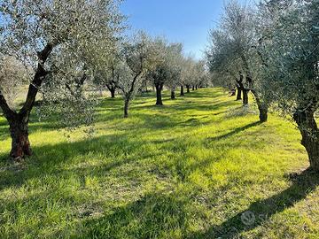 Terreno in zono tranquilla per relax