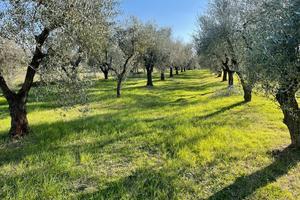 Terreno in zono tranquilla per relax