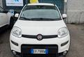 FIAT PANDA 4x4 2013 1.3mjt 55kw