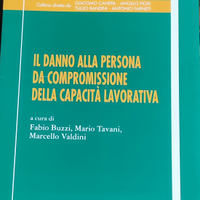 Il danno alla persona