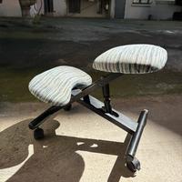 Sedia ergonomica