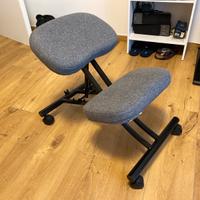 Sedia ergonomica EIFRED