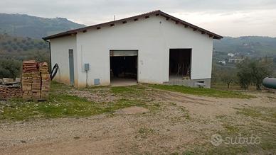 Fabbricato rurale in cemento armato con terreno