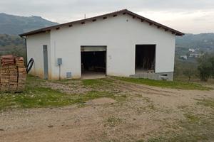 Fabbricato rurale in cemento armato con terreno