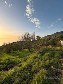 Terreno edificabile, uliveto e deposito | CAPRIOLI