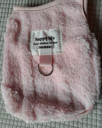 Tutina x cucciolo gatto 