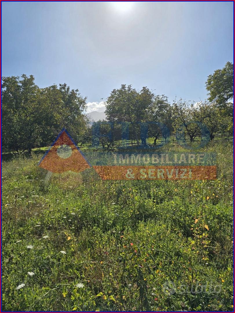 Terreno agricolo di 3.700 mq - Vista 4