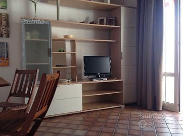 Centro monolocale