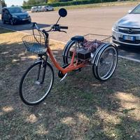 Bicicletta elettrica 3 ruote