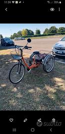 Bicicletta elettrica 3 ruote