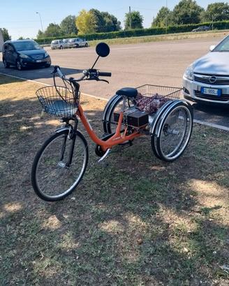 Bicicletta elettrica 3 ruote