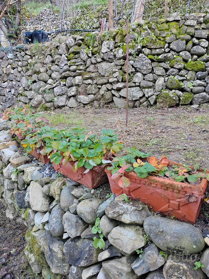 Montacarichi da balcone - Giardino e Fai da te In vendita a Imperia