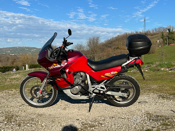 Honda transalp 600