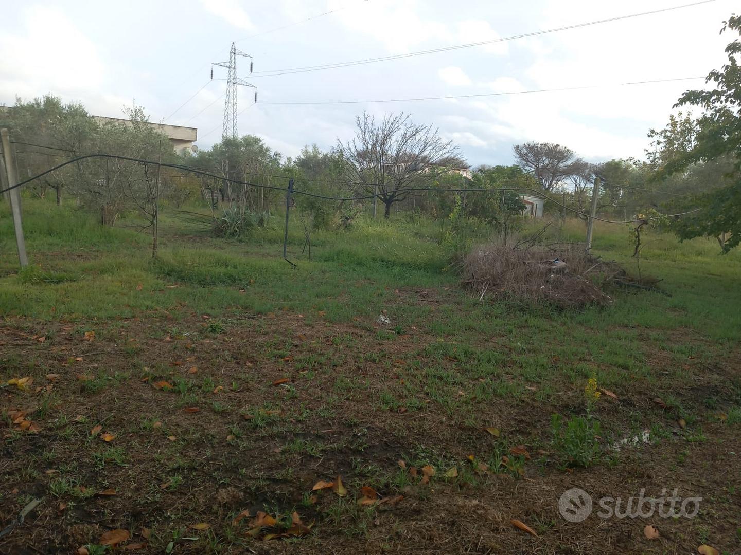 Terreno ad uso agricolo o edificabile - Vista 4