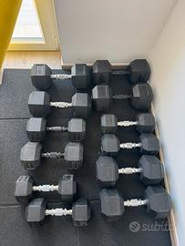 Dumbell crossfit bodybuilding home gym