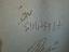 Immagine 4