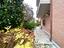 Immagine 21