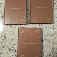 COFANETTO LIBRI RACCONTI DI POE MELVILLE HAWTORNE