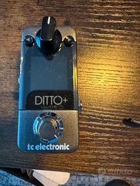ditto plus looper tc electronic