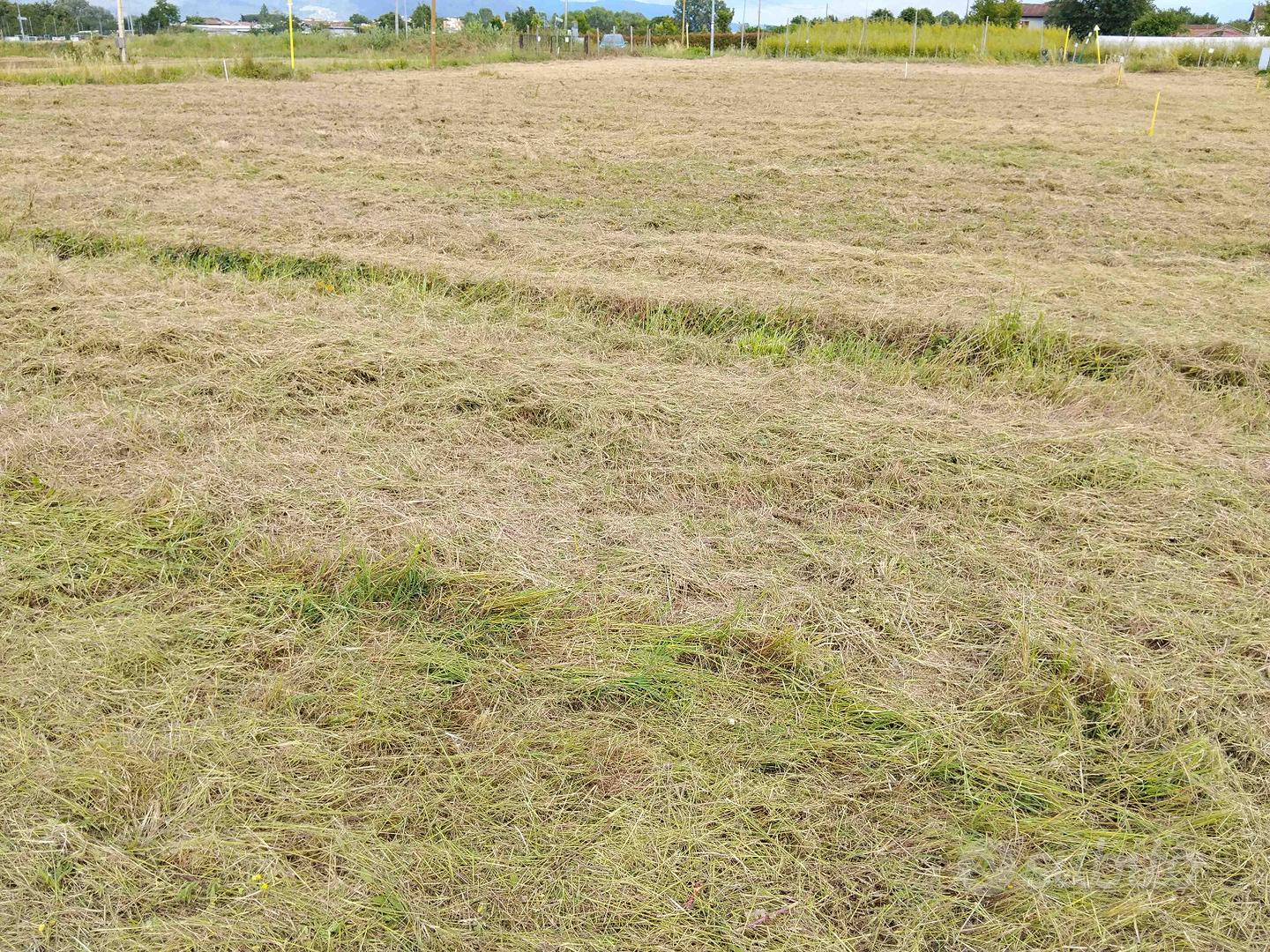 Terreno agricolo - Vista 4