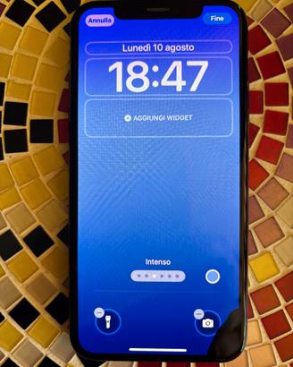 iPhone XS 256 GB funzionante, display con macchia