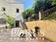 Immagine 12