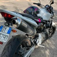 Honda Hornet 