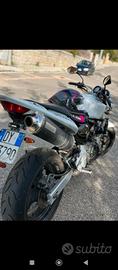 Honda Hornet 
