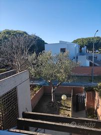 Trilocale con piscina a 300mt dal mare