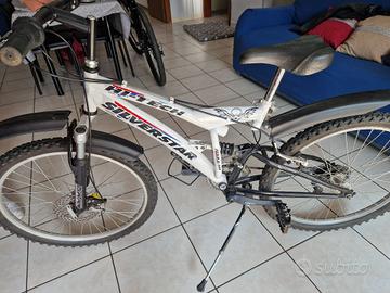 bicicletta