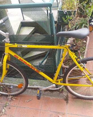 mountain bike Kastle
