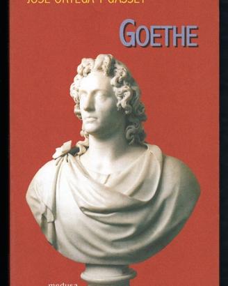 José Ortega y Gasset: GOETHE Ritratto dall'interno