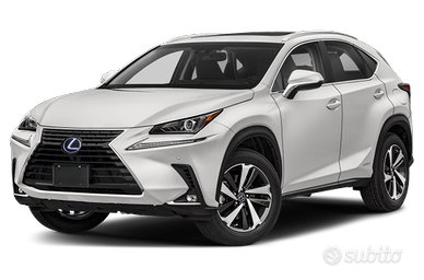 Effettuo sostituzione pistoni bagagliaio Lexus nx.