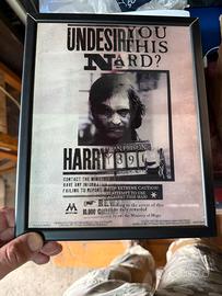 Quadro lenticolare harry potter manifesti ricercat