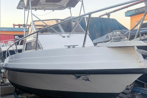 Walkaround da pesca trikaris