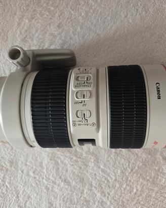 Canon EF 70 -200 mm f 2.8  L IS USM 