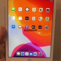 Apple iPad Air 2 silver 16 GB - 5439