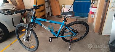 Mountain bike 