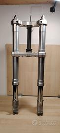Forcella completa di piastre ducati 749