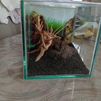 Mini acquario 15x15x15