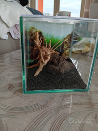 Mini acquario 15x15x15