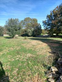 Rustico / Casale di 80 m² con 2 locali a Locoroton
