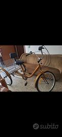 Bici 3 ruote adulto