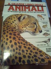 Il Grande Libro degli Animali e tre libricini