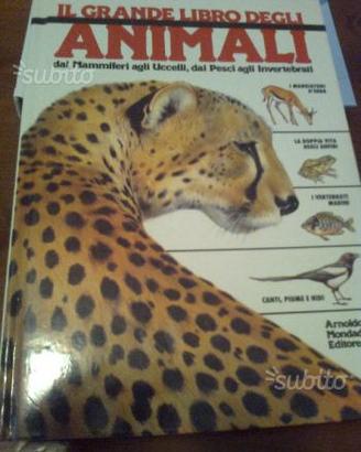 Il Grande Libro degli Animali e tre libricini