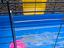 Immagine 2