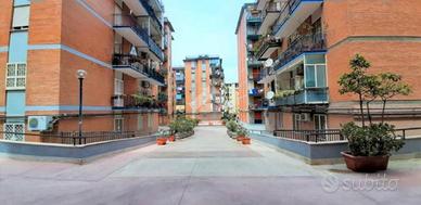 Stanza singola con bagno in camera per studentesse