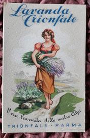 Figurina “Lavanda Trionfale - Parma”