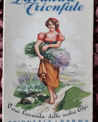 Figurina “Lavanda Trionfale - Parma”